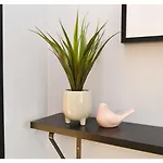 Victus Spacious Close To The With A Work Space By Renters סופוט